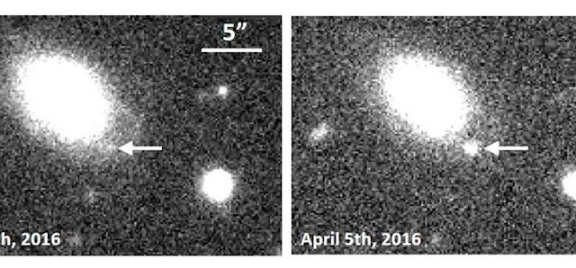 Surface helium detonation spells end for white dwarf Surface helium detonation spells end for white dwarf