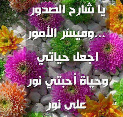 صورة