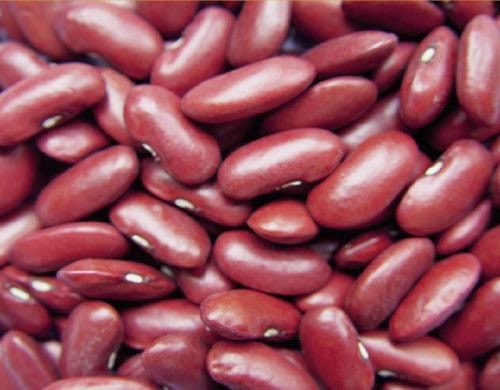 Rajma