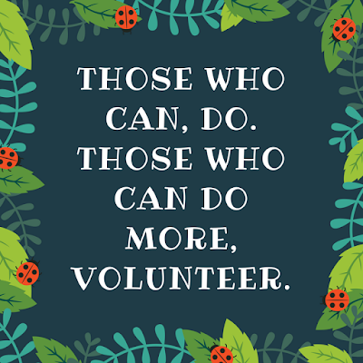 those who can do those who can do more volunteer appreciation
