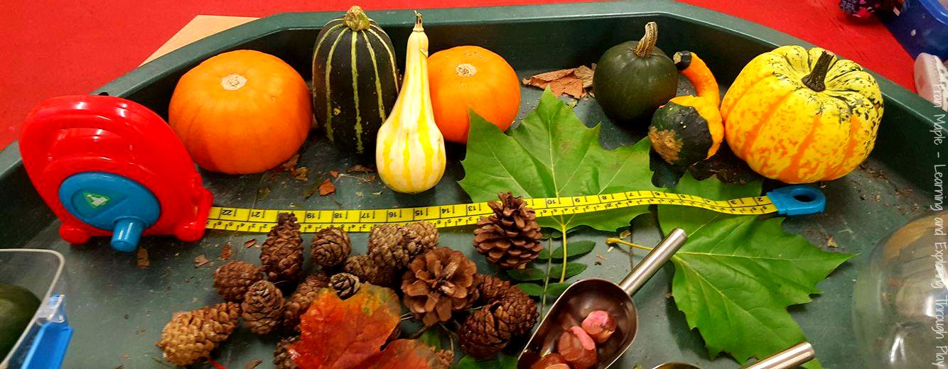 learning and exploring through play autumn themed tuff tray autumn tuff tray autumn ideas for children