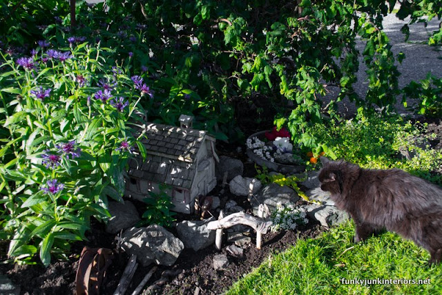 Rock walkways guide you to this farm-styled fairy garden with a barn birdhouse! Rock walkways guide you to this farm-styled fairy garden with a barn birdhouse!