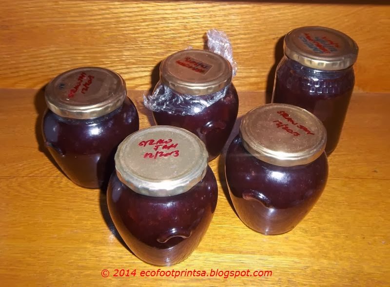 Eco Footprint South Africa Making your own pectin for your fruit