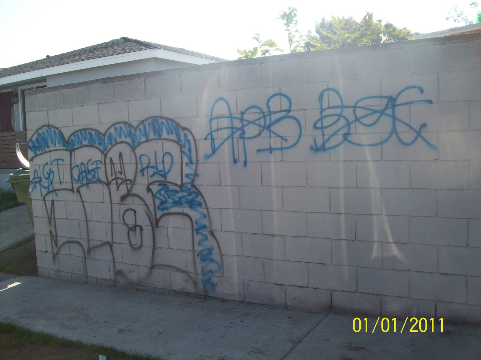 crip gangs graffiti East coast crip ( 118 block )