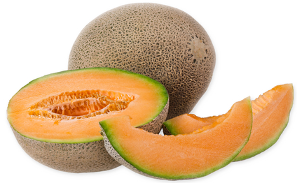 cantaloupe image