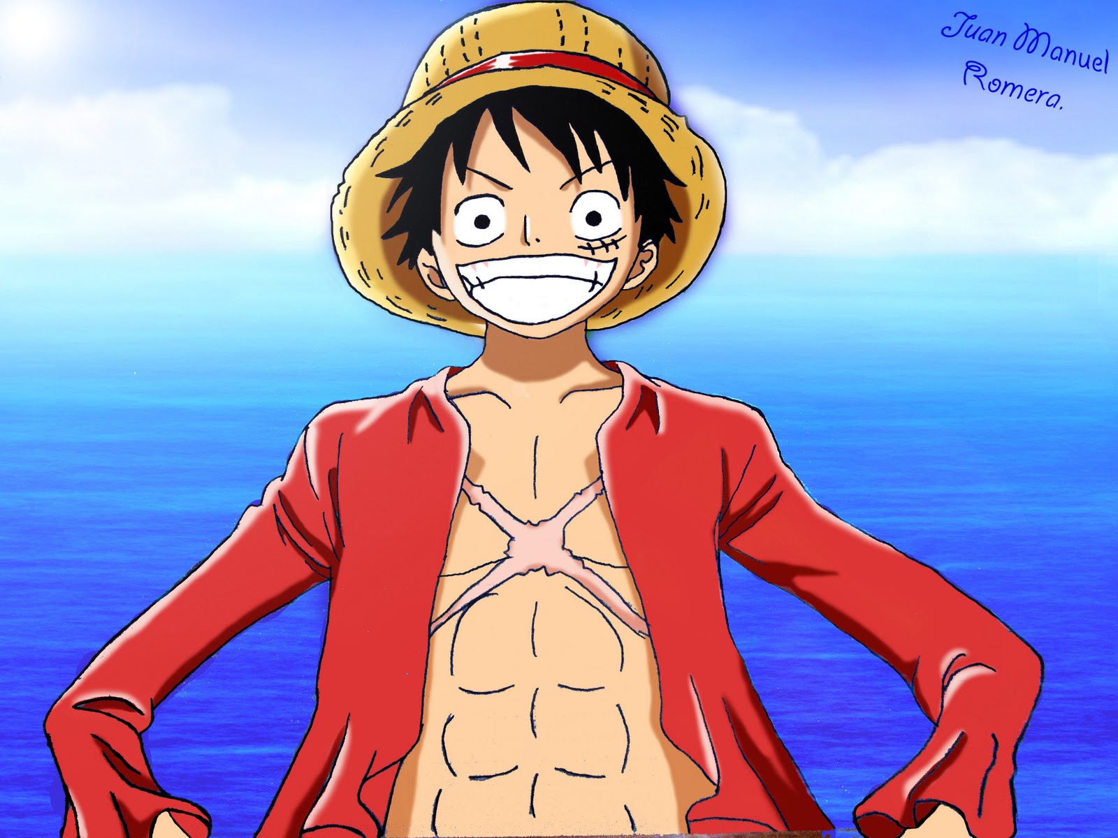 Luffy and the straw hat pirates with our 2440 one piece hd wallpapers and b...