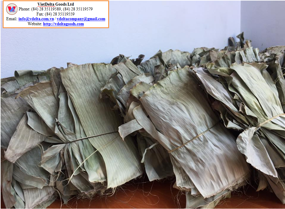 Dried banana leaves