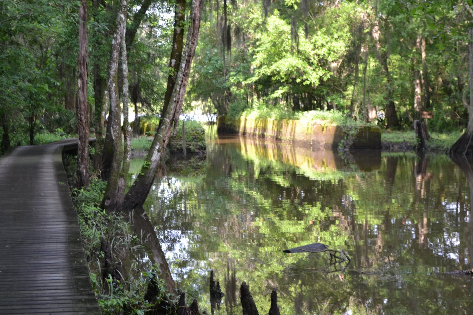 Исторический канал Саванна - Огичи (Historic Savannah-Ogeechee Barge Canal, Savannah, GA)