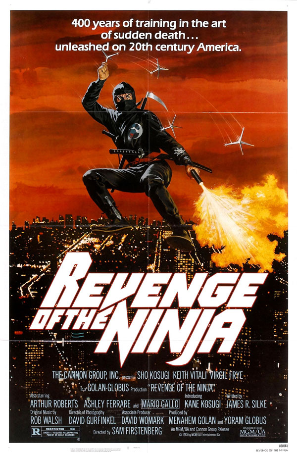Ninja Film Ninja Film