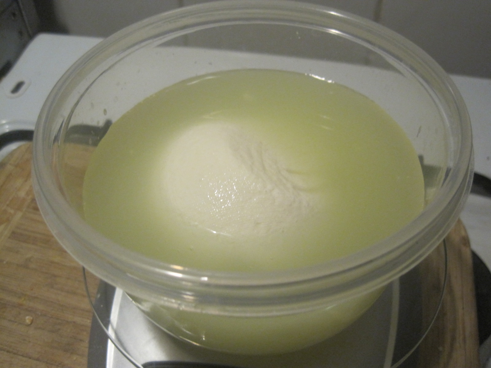 Mozzarella selbst gemacht – glatzkoch.de