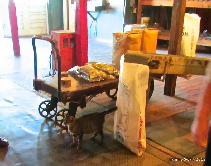 Things we did today... to Delcambre