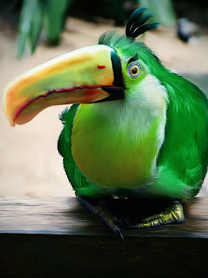 Angry Birds en imagen real