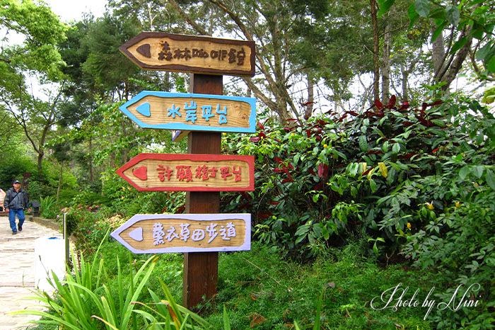 【苗栗景點】薰衣草森林。實現夢想的紫色莊園 【苗栗景點】薰衣草森林。實現夢想的紫色莊園