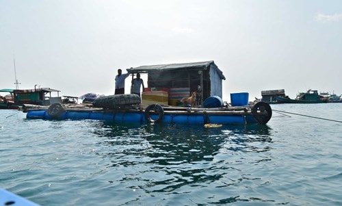 Đảo Hòn Chuối trước ngày chuyển gió -7 Đảo Hòn Chuối trước ngày chuyển gió -7
