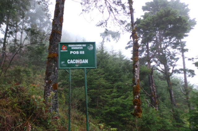 Pendakian Gunung Prau via Patak Banteng