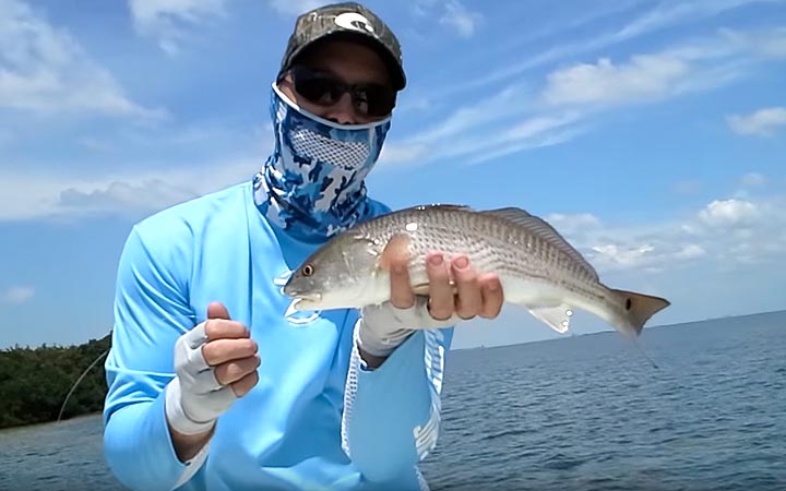 April Tampa Bay Redfish Fishing Report with Capt. Chris Camps