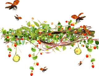 png%2Bsus%2Bflatcast%2Bbiz%2Bdert%2Bzengini%2B%2528238%2529.png