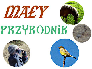 http://www.kreatywnymokiem.pl/2016/03/may-przyrodnik-nowe-zasady-ta-sama.html