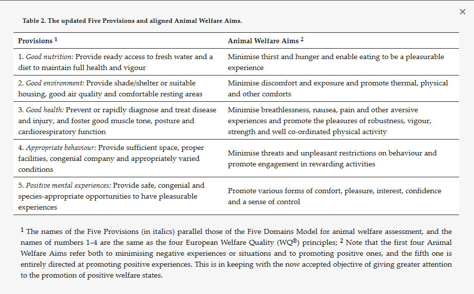 The Five Domains Model Aims to Help Animals Thrive animal world