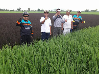 Tempat Holiday Tempat Holiday, warga sekitar yang sedang berfoto ria