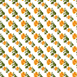 digital rose paper overlay design digital rose overlay design image
