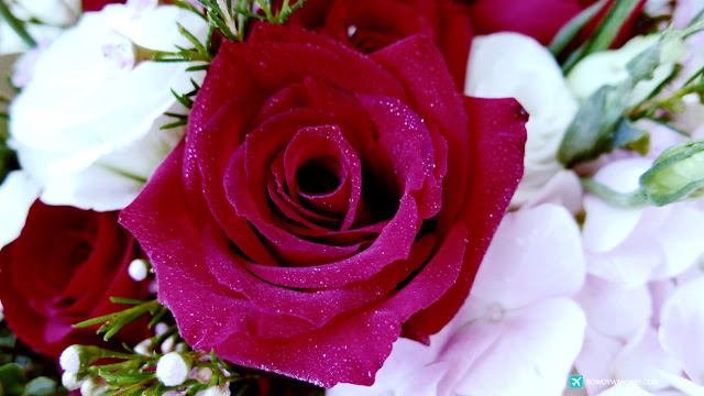 Woow Floral Garage Singapore: Probably the Best Flower Service Delivery inward Singapore for All Occasions com Singapore Travel Blog Philippines Photo Woow Floral Garage Singapore: Probably the Best Flower Service Delivery inward Singapore for All Occasions