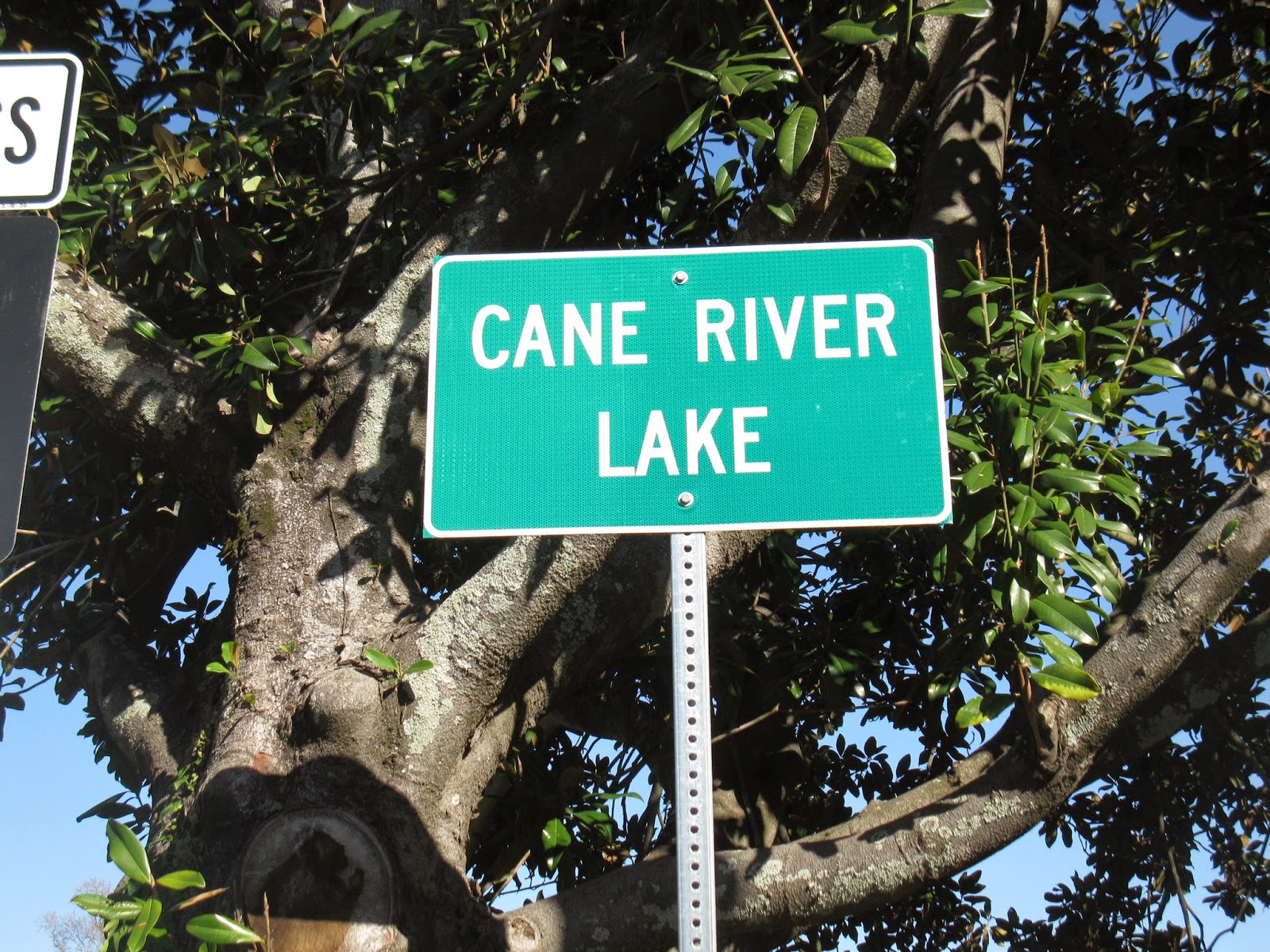 Natchitoches, Louisiana...A "Gem" Of A Destination - a day in the life