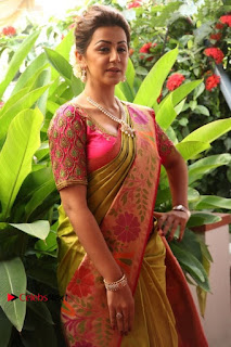 Actress Nikki Galrani Latest Pos in Saree Neruppu Da Movie Audio Launch  0021