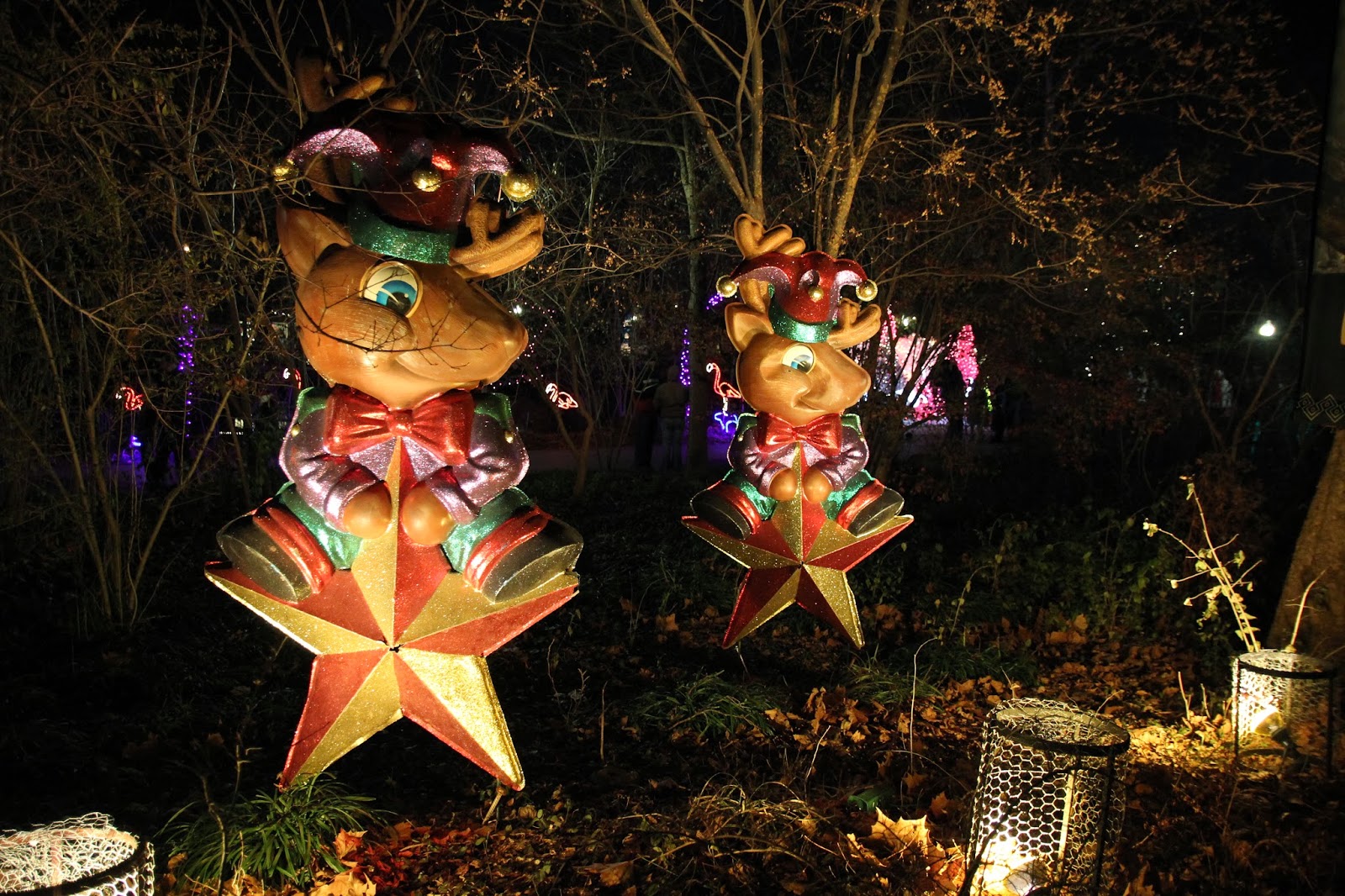 Saint Louis Adventures Wild Lights at the St Louis Zoo