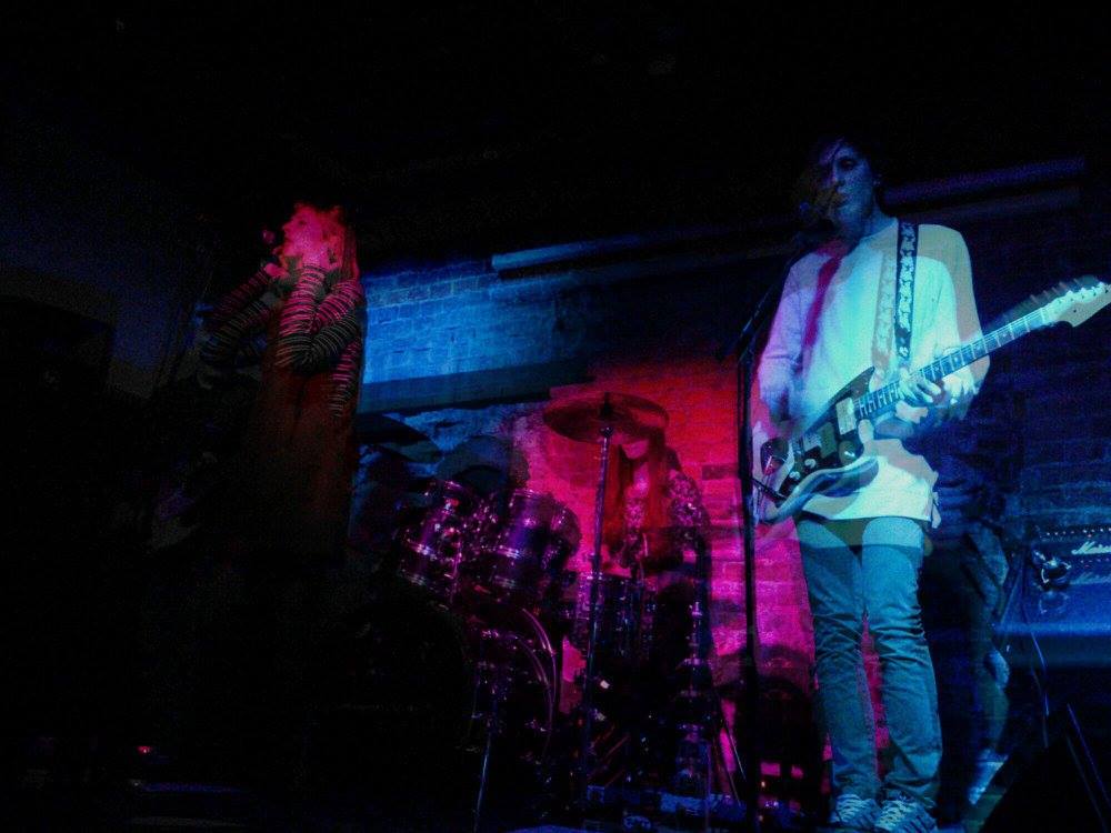 The Blog That Celebrates Itself Encounters Life on Venus An Interview