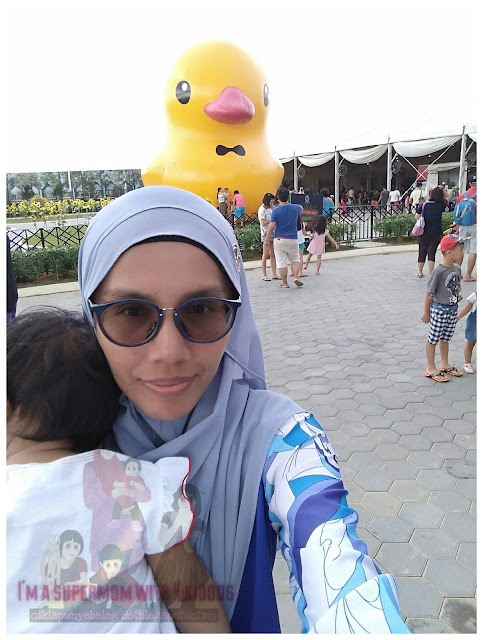 Banyaknya beruang comel di EcoForest, Broga Hills Semenyih. Banyaknya beruang comel di EcoForest, Broga Hills Semenyih.