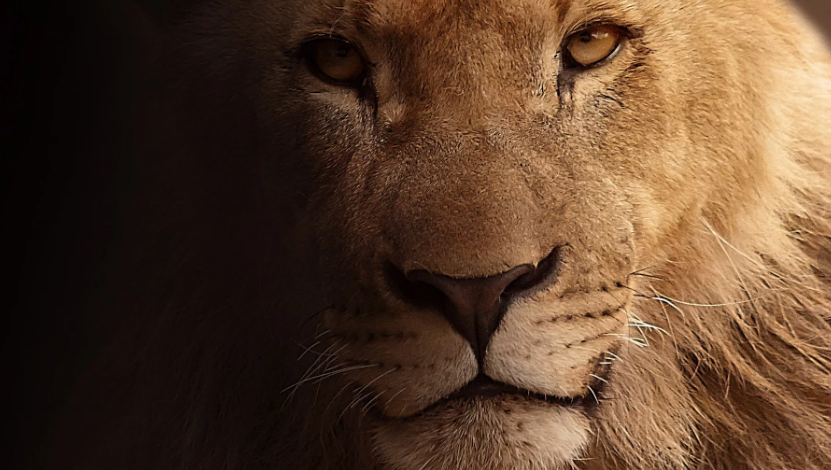 болшие голые красивые сиски 2013: Вечная Битва