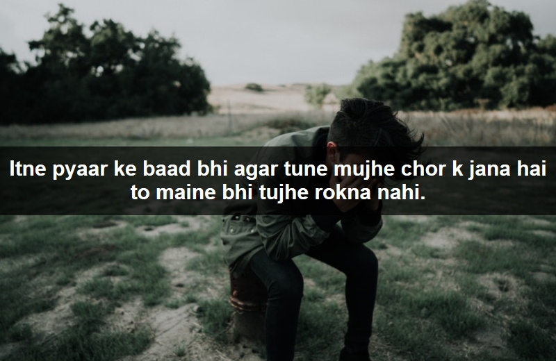 WhatsApp Status Love in Urdu