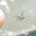 A small chip on your windshield can turn into a large crack quickly! (Easy DIY Solution)