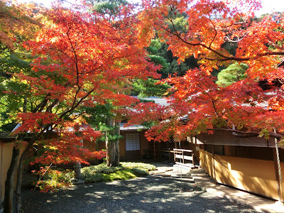 ������b�ώR���̍g�t