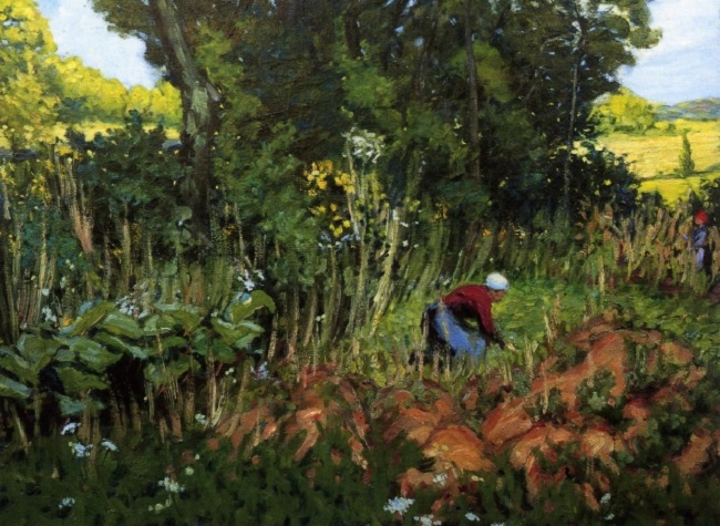 Story of the Week: A Curtain of Green