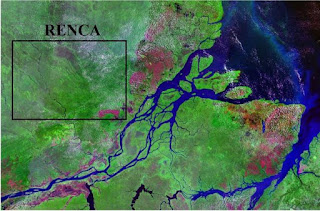 El gobierno brasileño entrega una reserva del Amazonas a la actividad minera