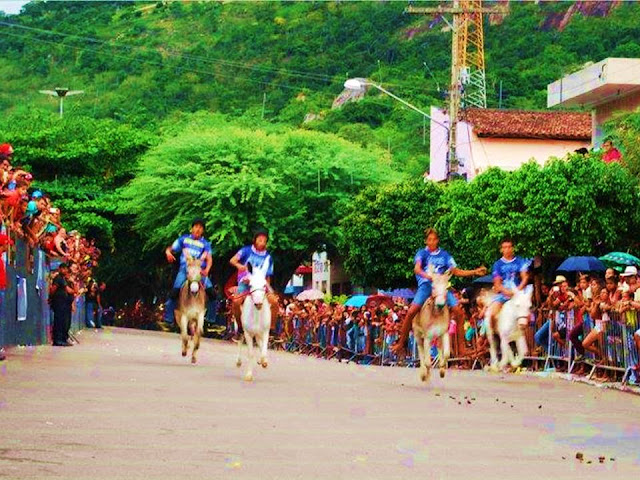 Festival Nacional de Jericos 2016 | Panelas-PE