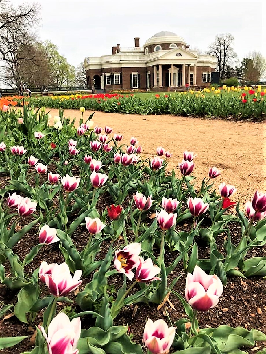 Plants & Gardens in Colonial & Early America Thomas Jefferson, a