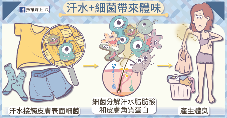 汗水加上細菌,就是讓人尷尬的體味