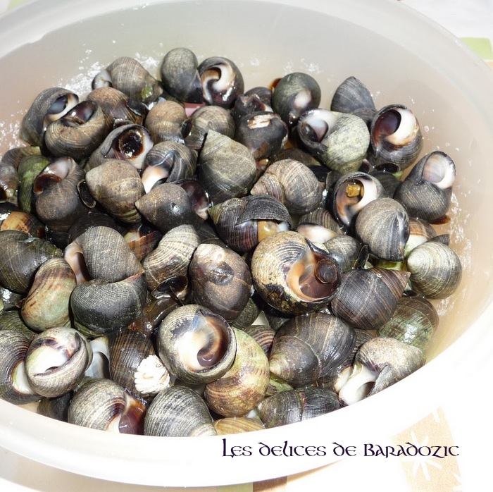 Bigorneaux