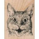 Surprised Kitty Cat 2.25 x 2.75