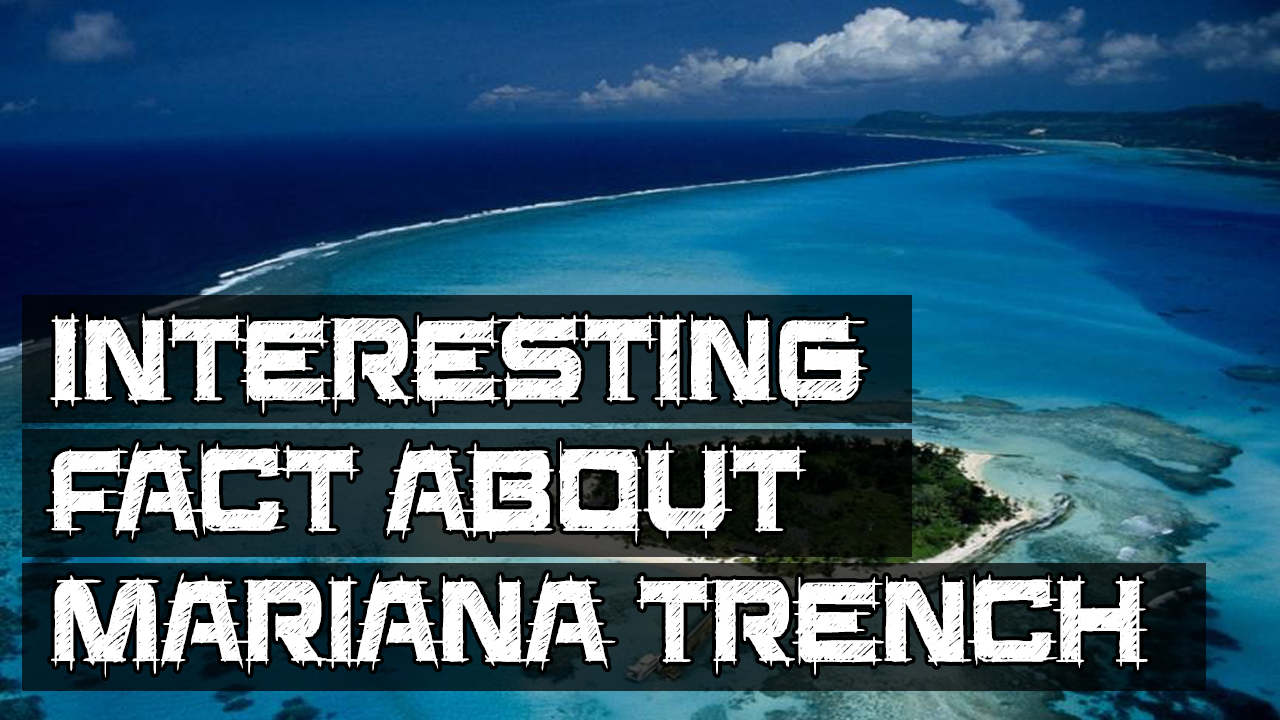 Some Interesting Facts About Mariana Trench (You Never Heard Before