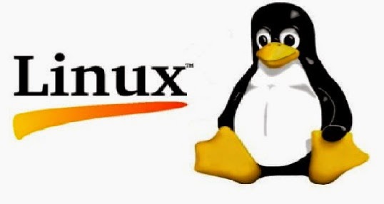 Five Best Linux Distributions