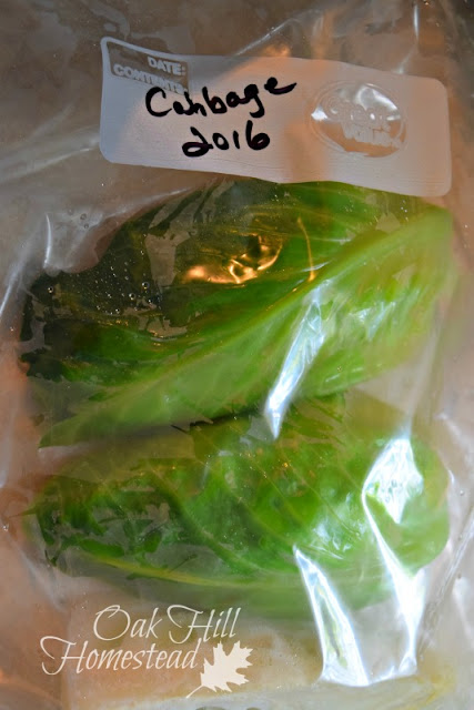 Package blanched cabbage in freezer bags.