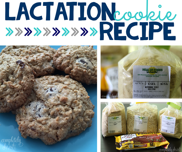 Chocolate Chip Peanut Butter Lactation Cookie Recipe Completely Christi
