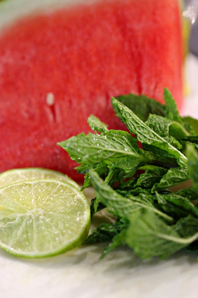 End of Summer + Easy Watermelon Mint Agua Fresca Recipe A Little Desert Apartment