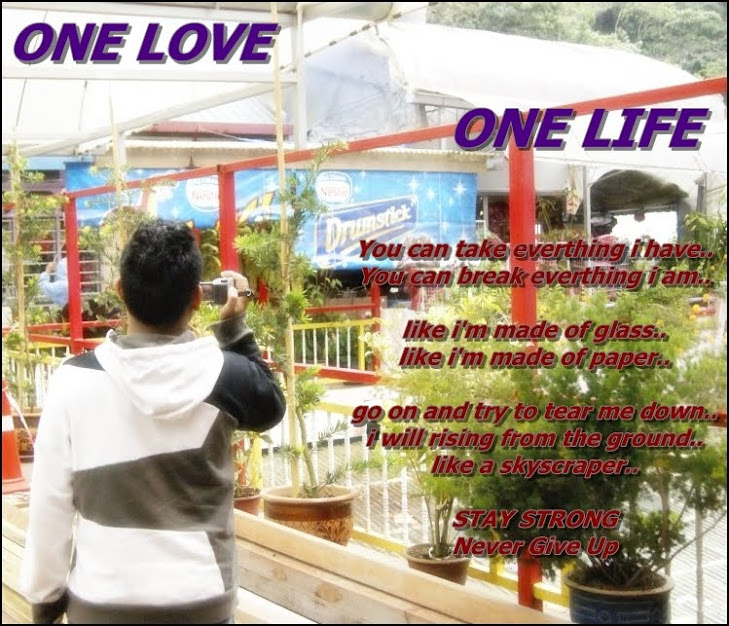 One Love One Life