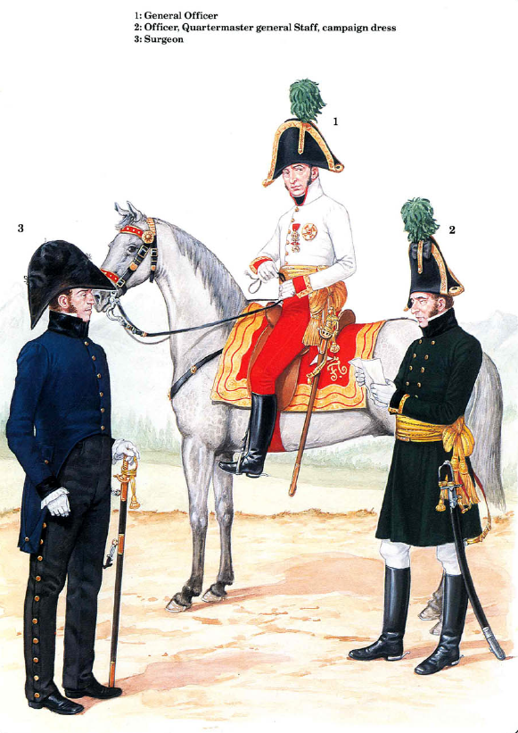 генералы наполеоновских войн. генералы австрии в наполеоновских войнах. бригадный генерал франция 1812 униформа. генералы наполеоновских войн. форма маршала армии наполеона в 1812.