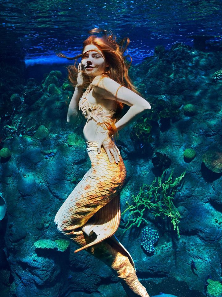 GNTM Cycle 13 12th & 13th Episode Underwater Mermaids Photo Shoot